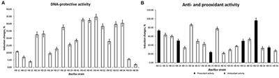 Beneficial Effects of Spore-Forming Bacillus Probiotic Bacteria Isolated From Poultry Microbiota on Broilers' Health, Growth Performance, and Immune System